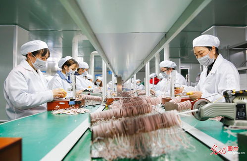 疫情下的外貿(mào)企業(yè)應對 寒冬